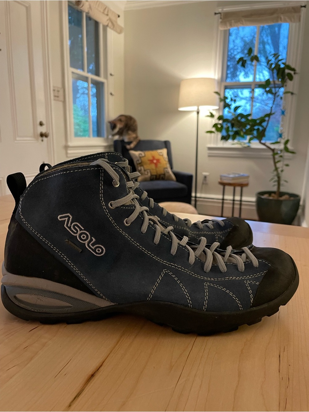 Asolo Cactus Gore-Tex Hiking Boots